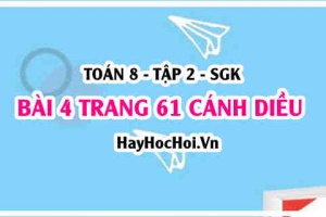 Bài 4 trang 61 Toán 8 Tập 2 Cánh Diều